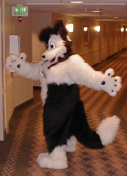 Daily picdump (127 pics)