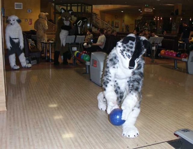 WTF Pictures Compilation. Part 2 (76 pics)