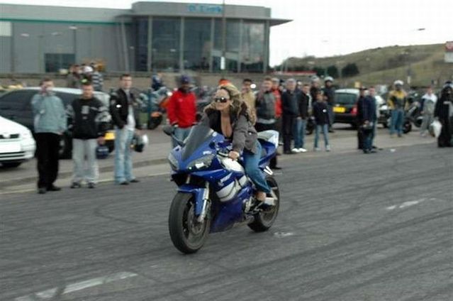 Blondes Will Be blondes! )) (59 pics)