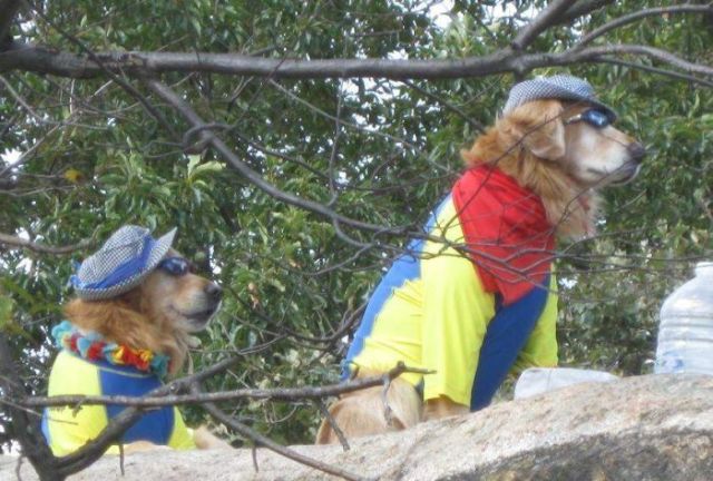 Daily picdump (154 pics)