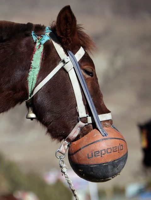 Daily picdump (154 pics)