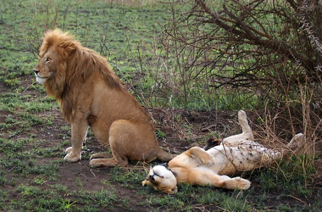 Sex Is Great! (3 pics)