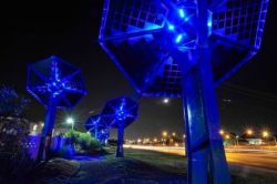 Curiosities and bonus pictures