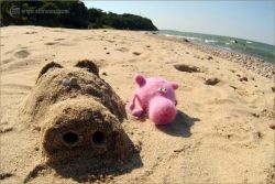 Curiosities and bonus pictures