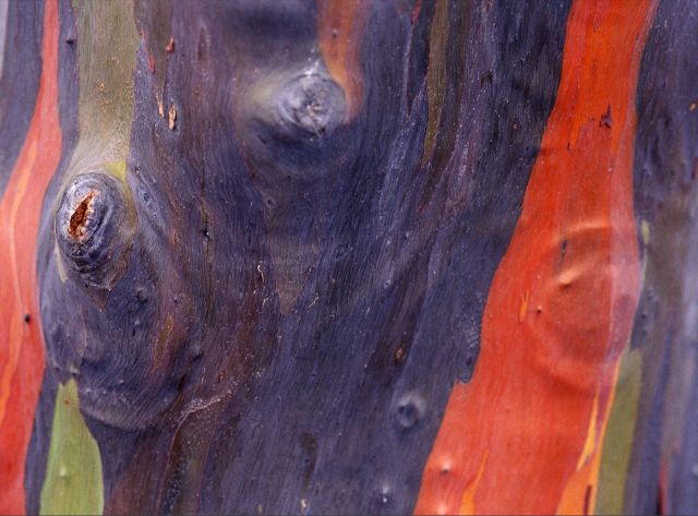 Beautiful Patterns in Nature from National Geographic. Part 2 (78 pics)