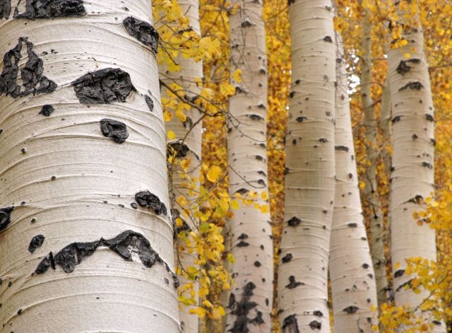 Beautiful Patterns in Nature from National Geographic. Part 2 (78 pics)