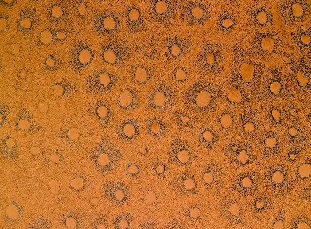 Beautiful Patterns in Nature from National Geographic. Part 2 (78 pics)