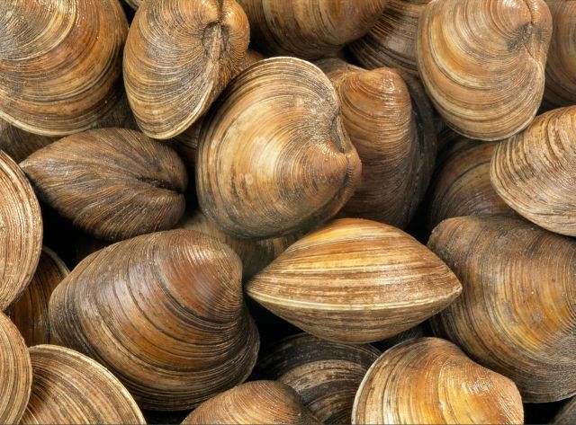 Beautiful Patterns in Nature from National Geographic. Part 2 (78 pics)