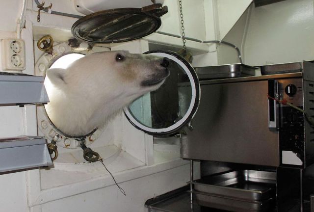 Daily picdump (115 pics)