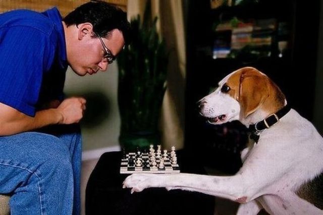 Daily picdump (115 pics)