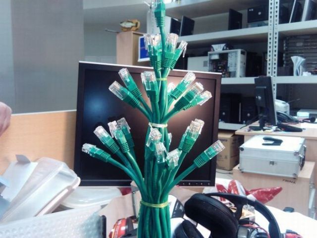 Daily picdump (197 pics)