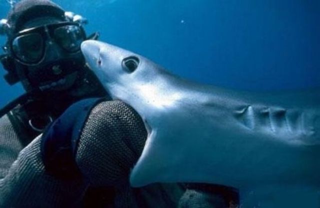 Daily picdump (197 pics)