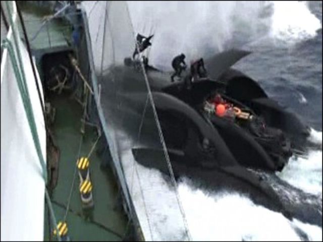 Trimaran Ady Gil Goes Down (15 pics + 2 videos)