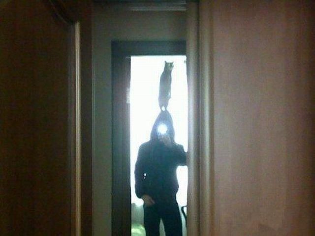 Daily picdump (108 pics)