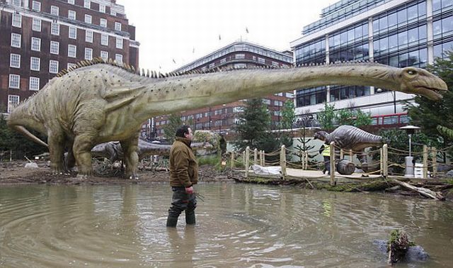 Daily picdump (146 pics)