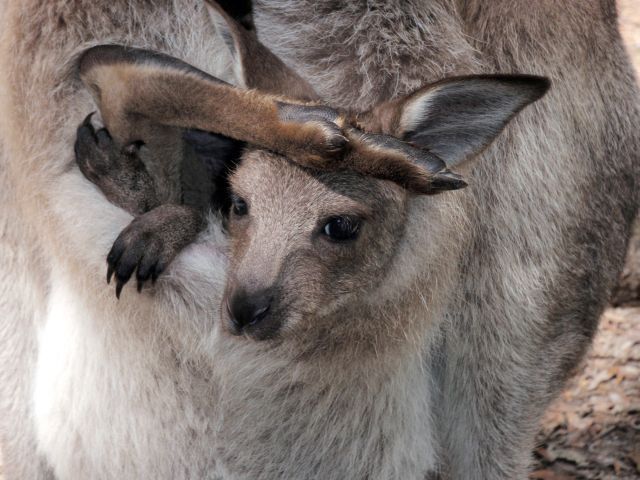 Daily picdump (146 pics)