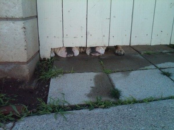 Daily picdump (146 pics)