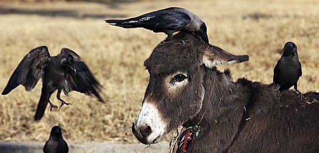 Daily picdump (120 pics)