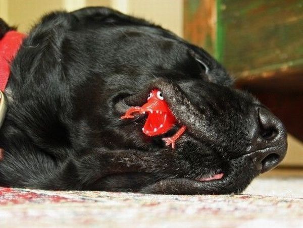 Daily picdump (120 pics)