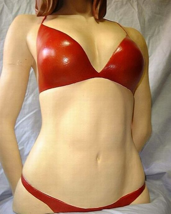 Sexy Girl Bikini PC Case Mod (19 pics)