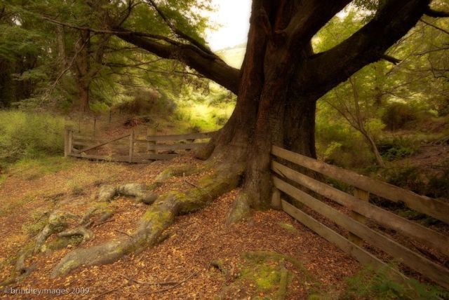 Daily picdump (136 pics)