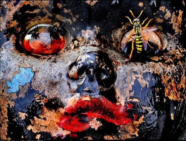 Daily picdump (136 pics)