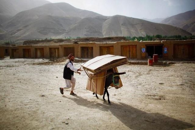 Daily picdump (136 pics)