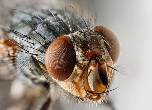 Daily picdump (134 pics)