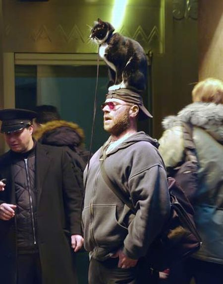 Daily picdump (134 pics)