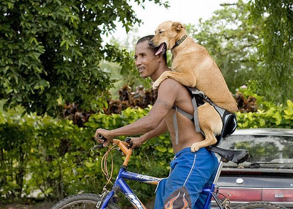 Daily picdump (137 pics)