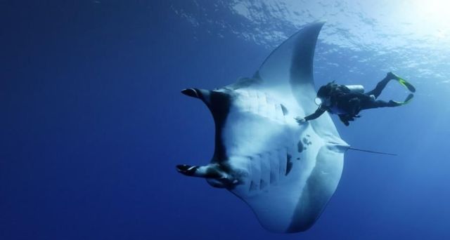 Daily picdump (137 pics)