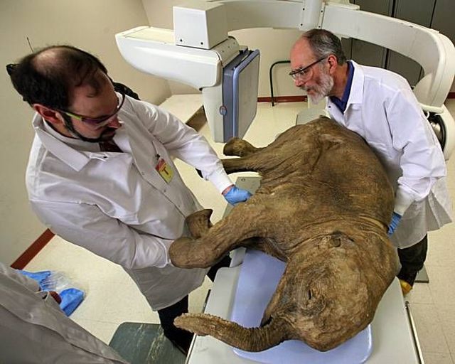 Daily picdump (137 pics)