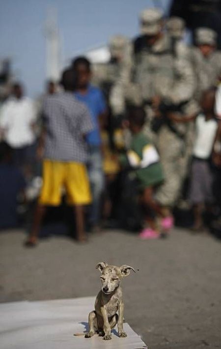 Daily picdump (137 pics)