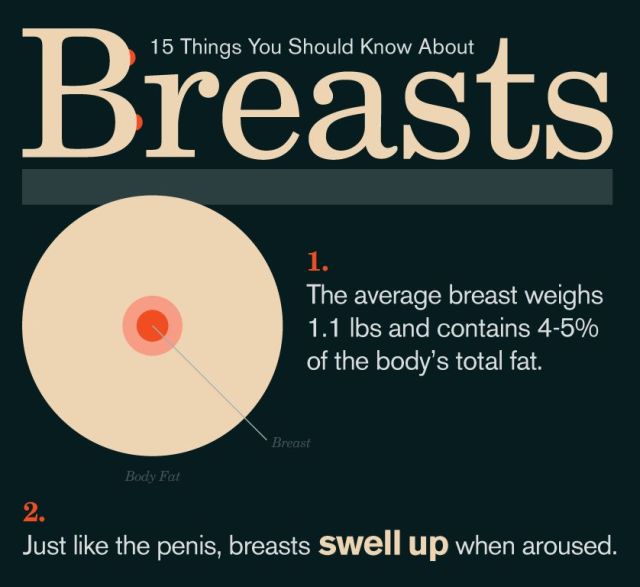 15 Things You Should Know About Breasts