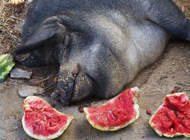 Daily picdump (146 pics)