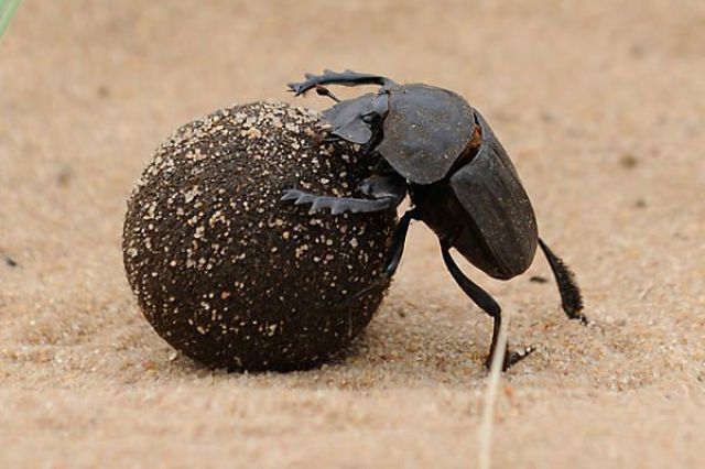 Daily picdump (154 pics)