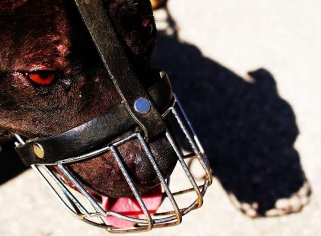 Daily picdump (148 pics)