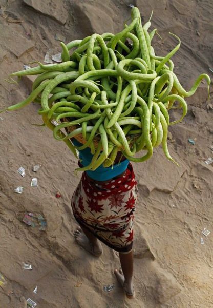 Daily picdump (148 pics)