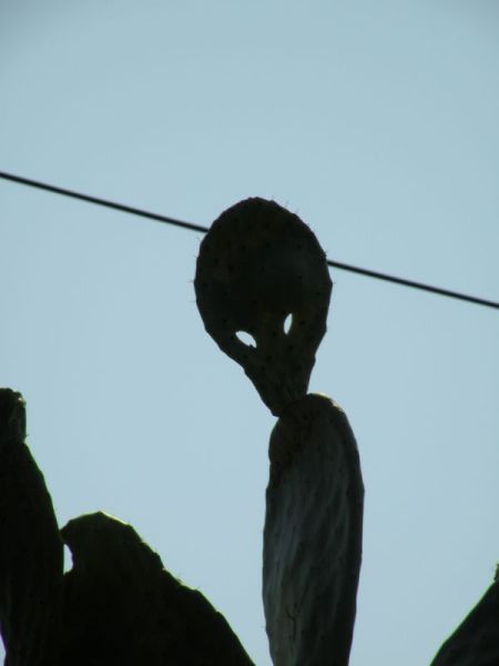 Daily picdump (148 pics)