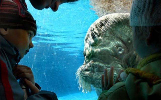 Daily picdump (148 pics)