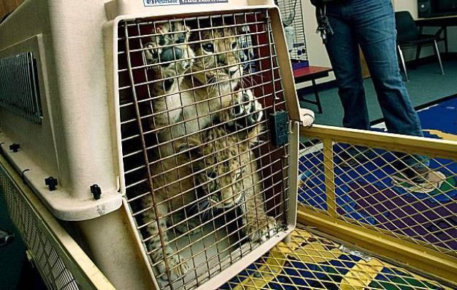 Daily picdump (148 pics)