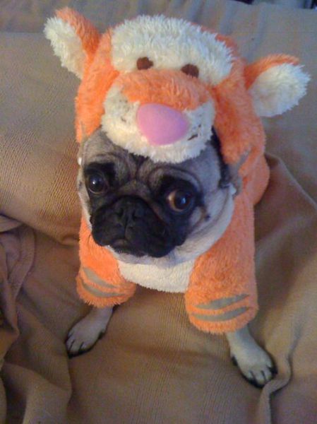 Daily picdump (127 pics)