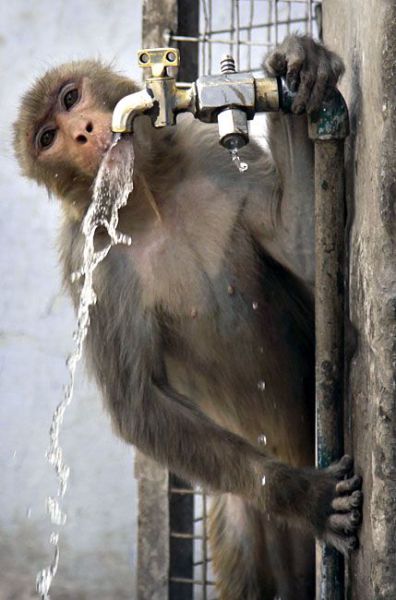 Daily picdump (127 pics)