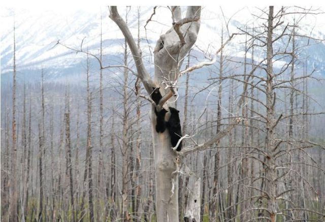 Daily picdump (127 pics)