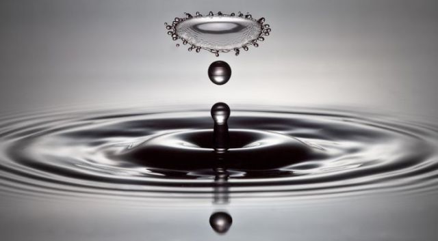 Real or Fake? Part 2 (45 pics)