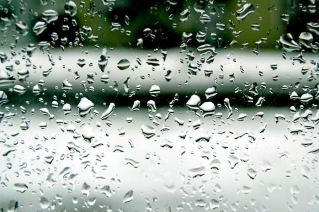 Real or Fake? Part 2 (45 pics)