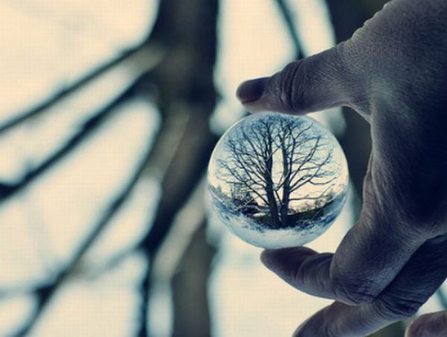 Real or Fake? Part 2 (45 pics)