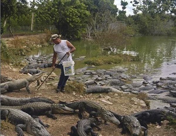 Funny &lsquo;Oops&rsquo; Selection (43 pics)