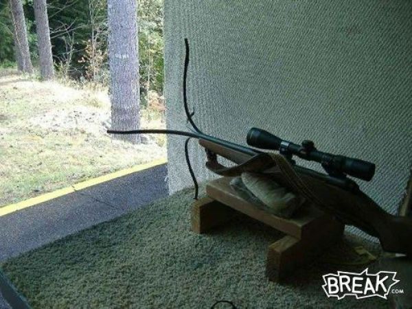 Funny &lsquo;Oops&rsquo; Selection (43 pics)