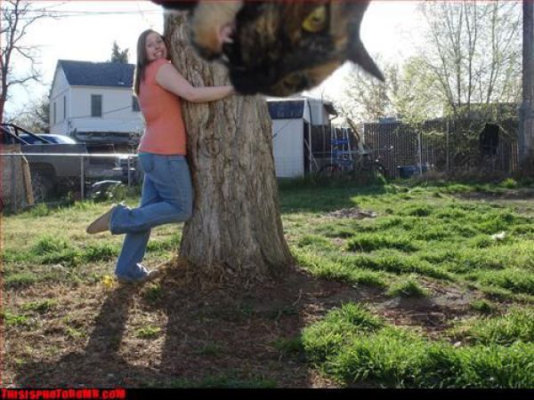 How to Spoil a Photo. Part 7 (48 pics)